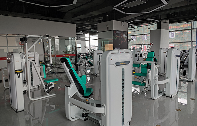 盛（shèng）體健身